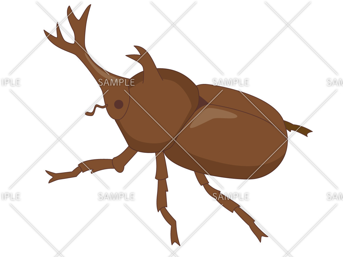 カブトムシのイラスト決定版！無料・商用素材から簡単な描き方まで