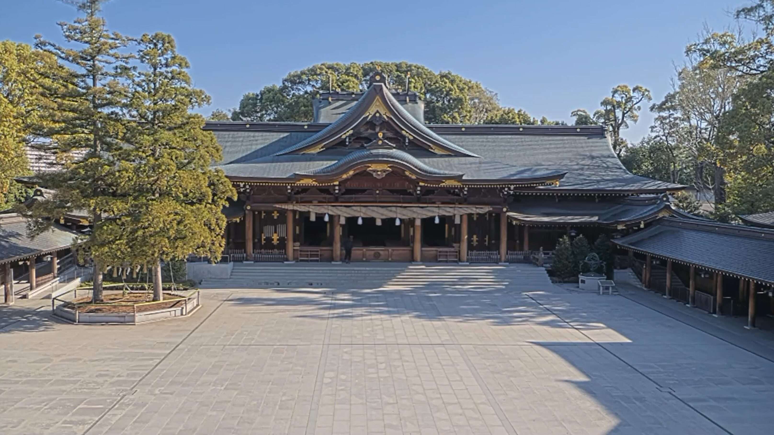 寒川神社ライブカメラで混雑確認！リアルタイム映像と回避術2026