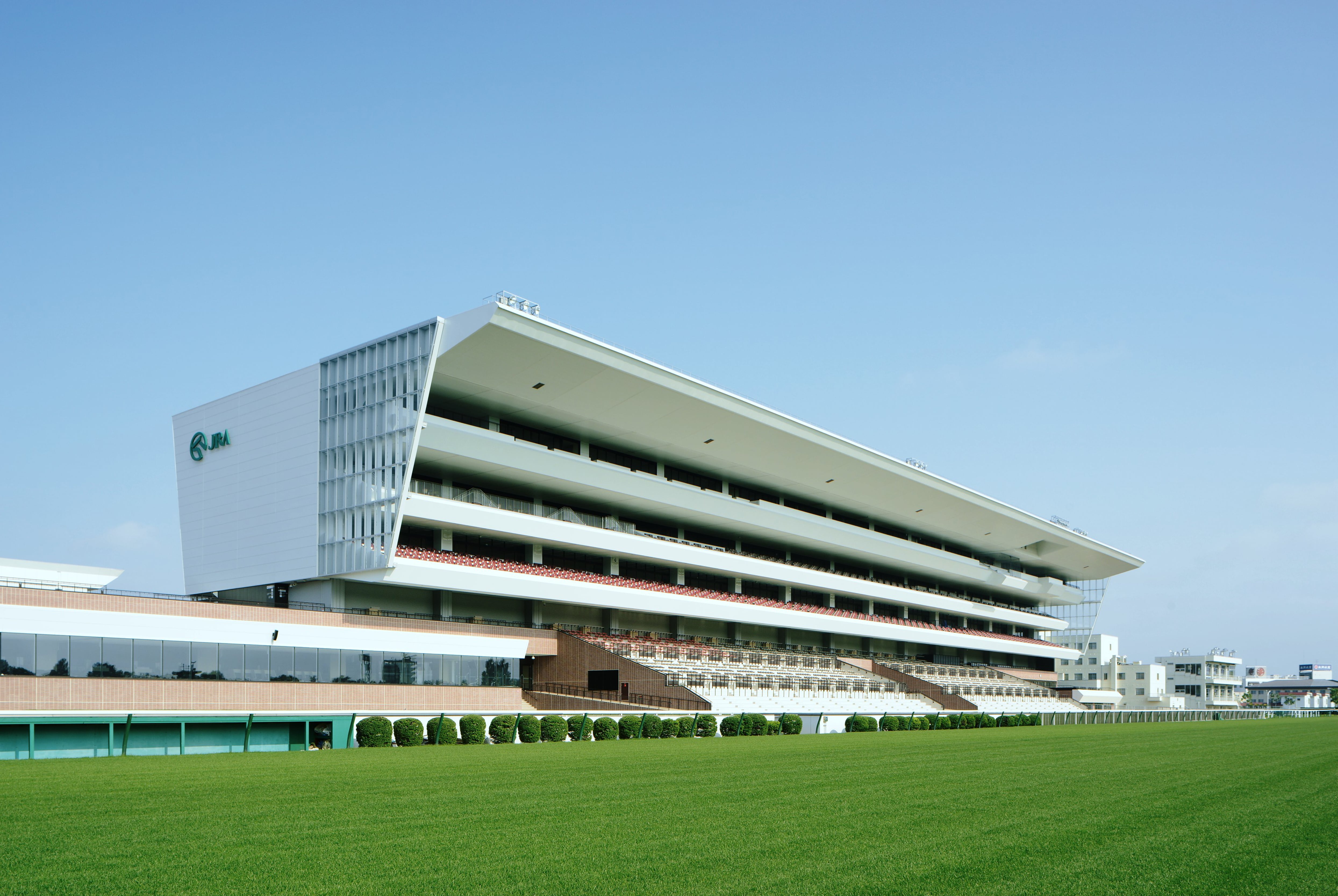 札幌競馬場2026徹底攻略！指定席予約の裏ワザと洋芝・名物グルメの全貌