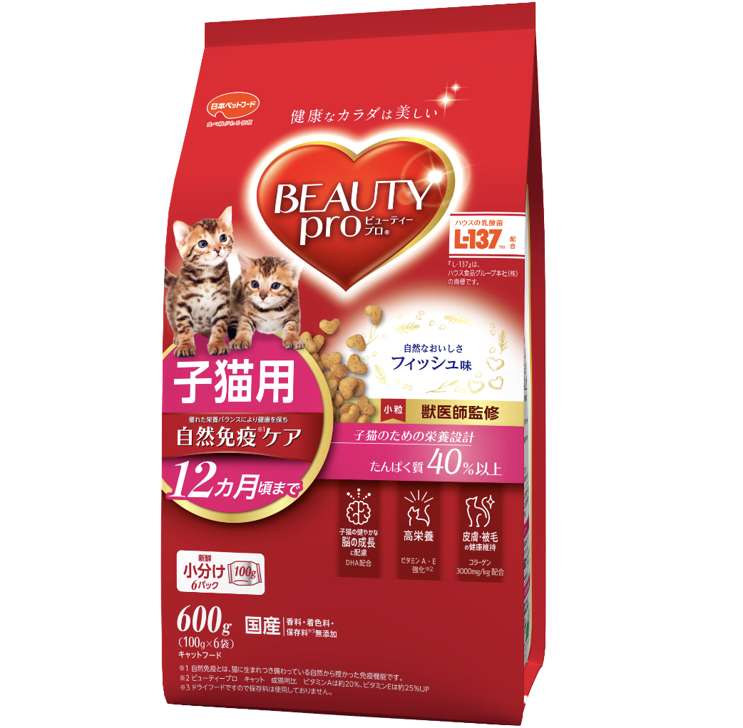獣医師が本音暴露！猫の餌おすすめ2026年最新版と危険な原材料の真相