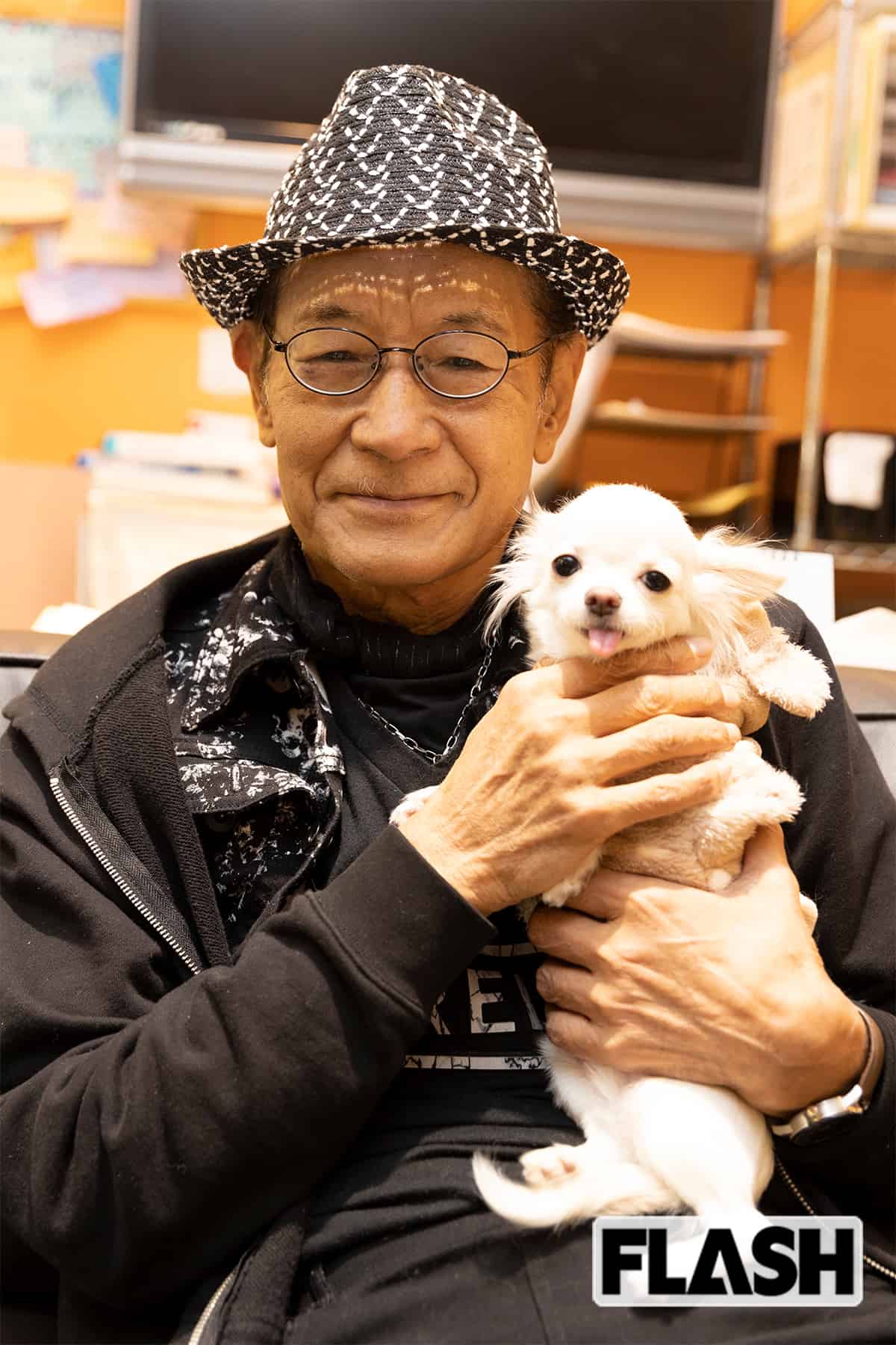 あのアイフルチワワの現在は？くぅ〜ちゃん伝説と最新Cmの裏側