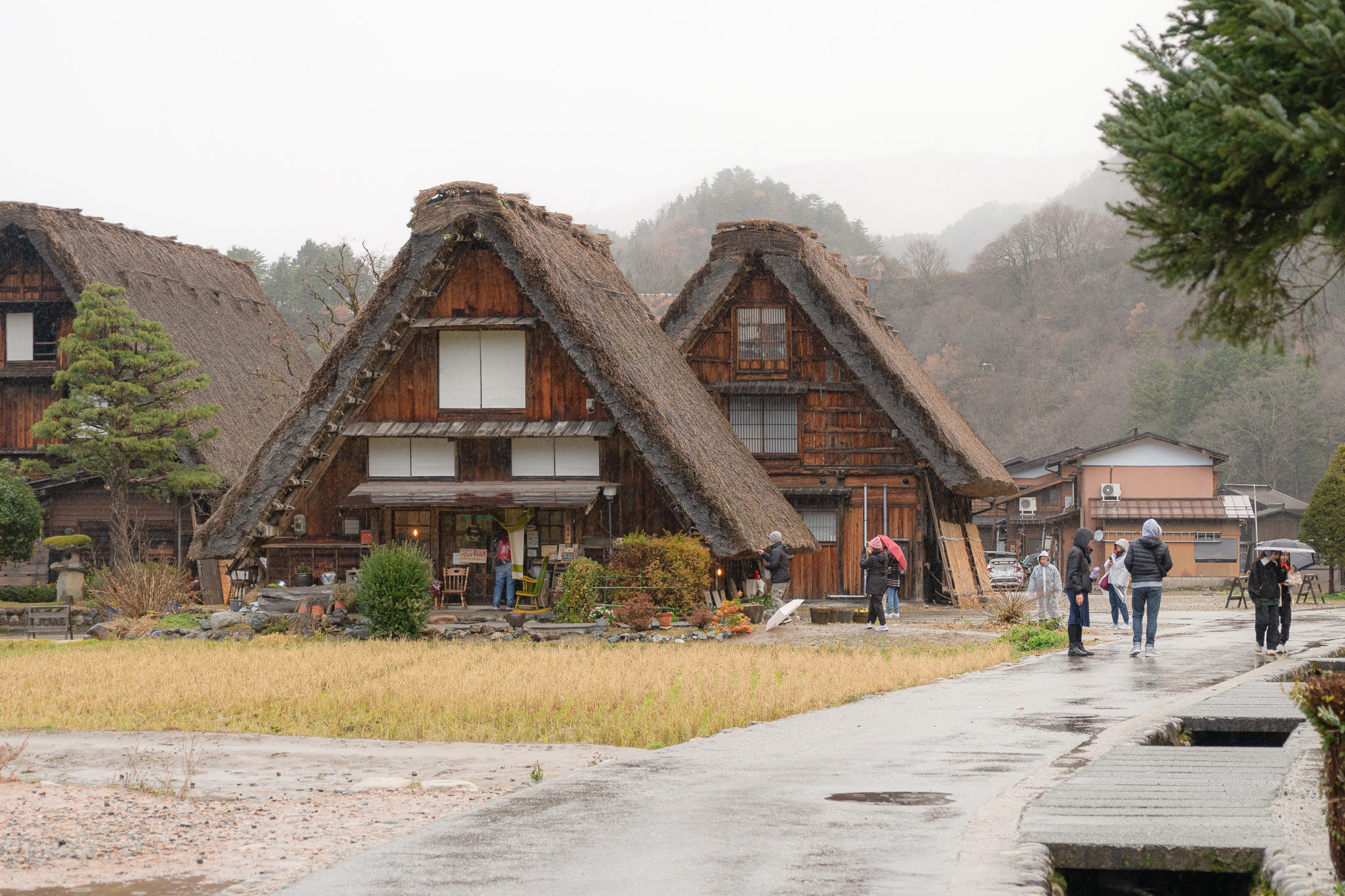 白川郷おすすめ宿2026決定版！合掌造り民宿と温泉旅館を徹底比較
