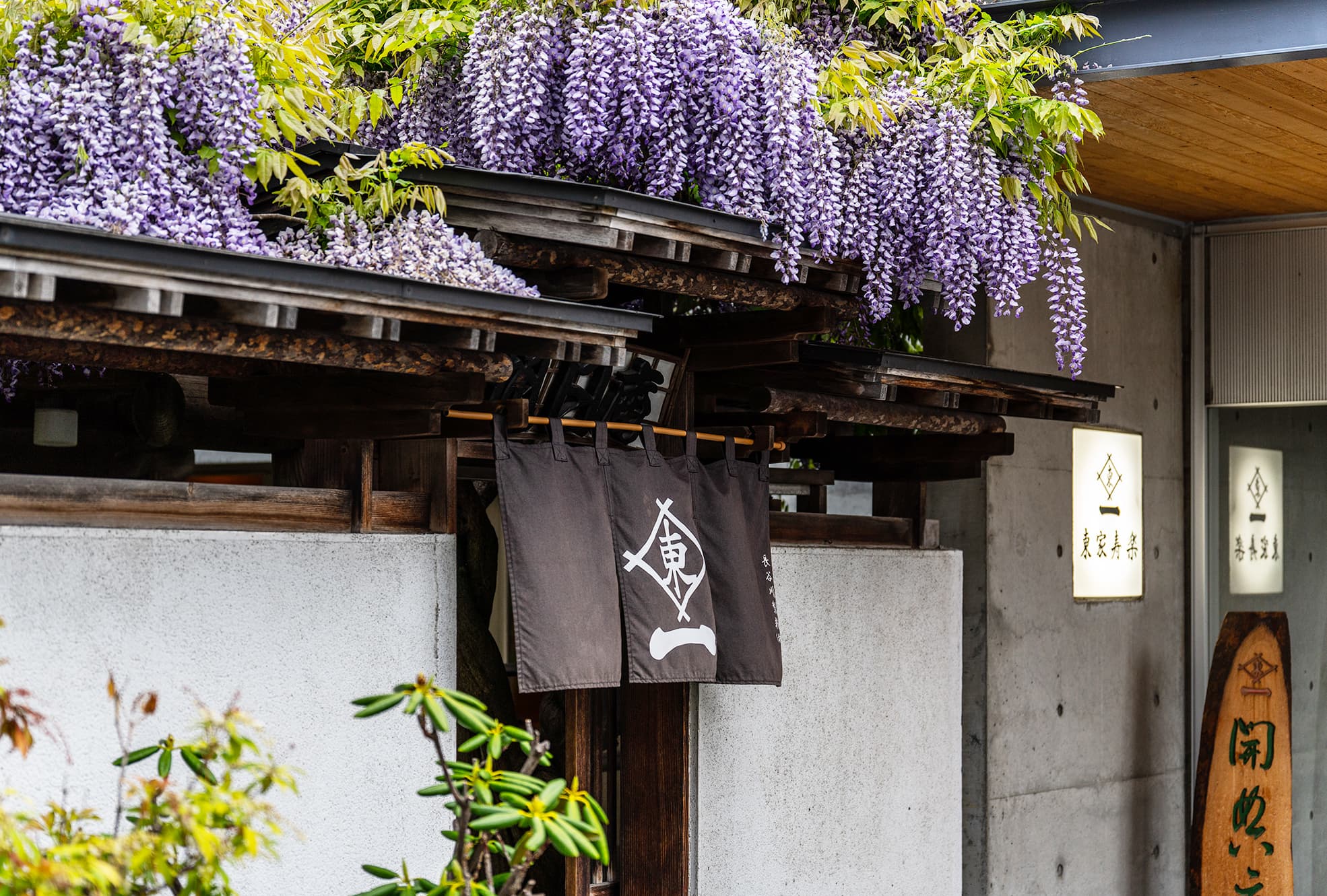 福井の隠れた名店いわし屋を徹底取材！地酒と味わう極上海鮮ナイト