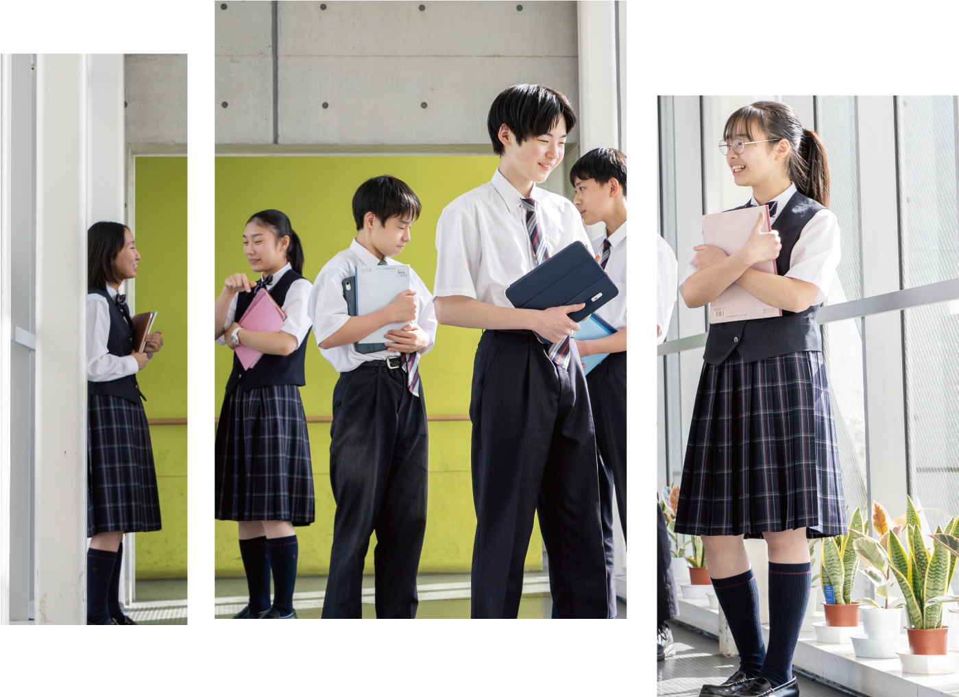都市大等々力が中学受験で躍進する理由｜偏差値・進学実績と評判の真相