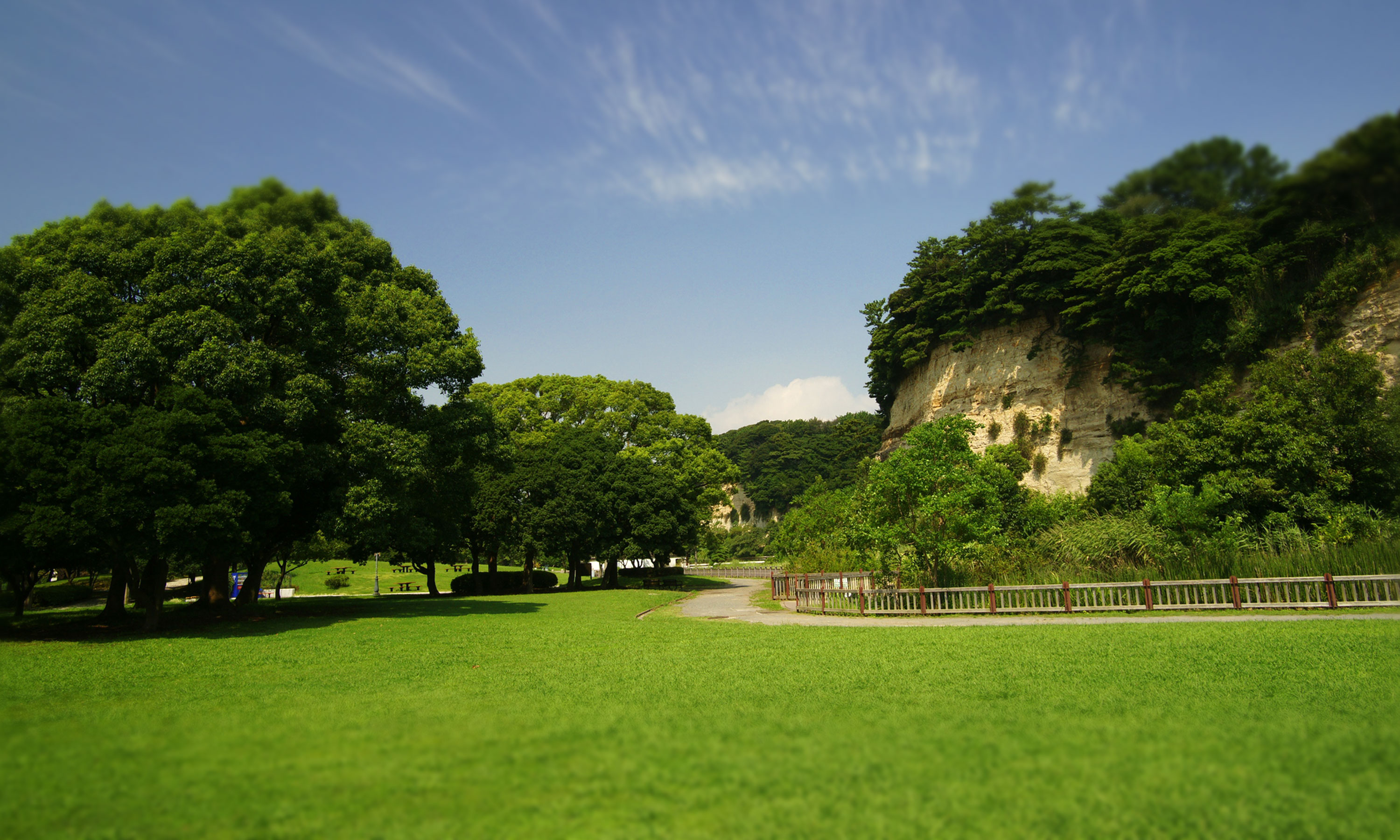 【2026最新】本牧市民公園はどう変わった？プール・Bbqと混雑の真相を徹底解説