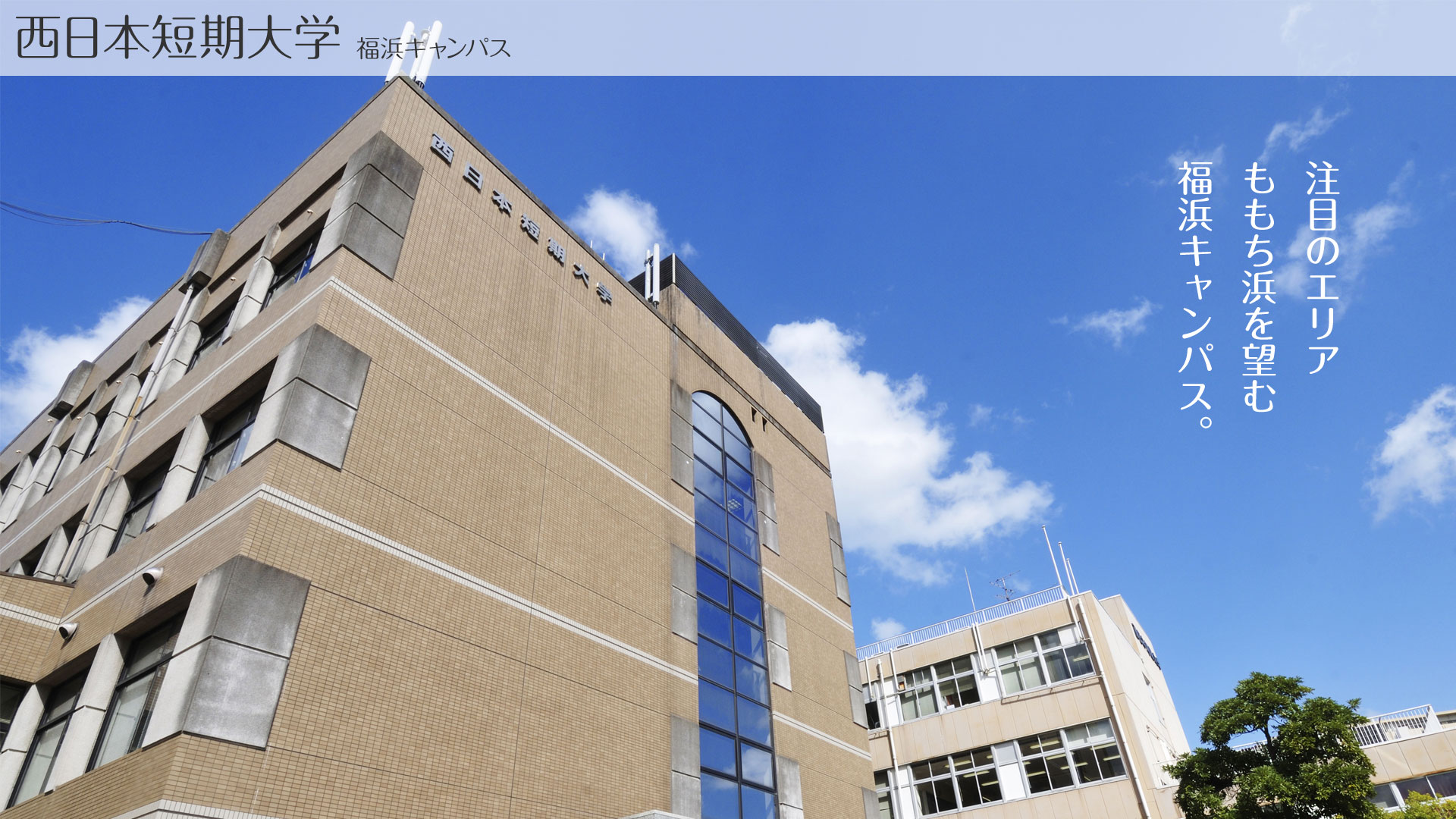 西日本短期大学の偏差値と評判の真相！学科別の魅力と就職実績を徹底検証