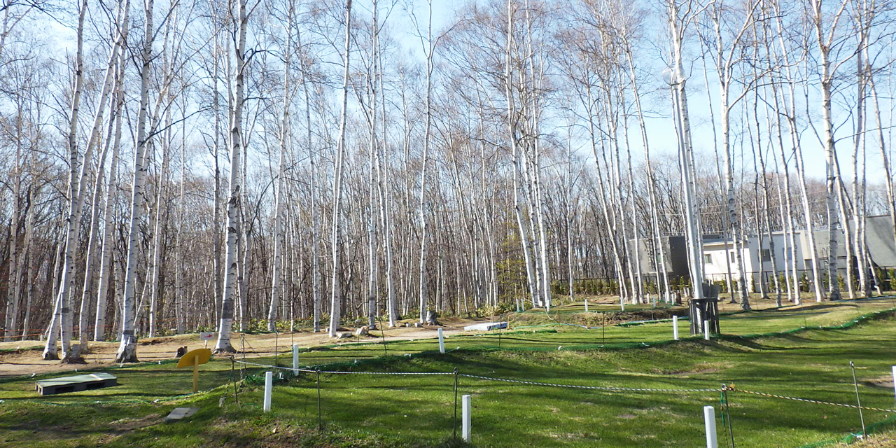 西岡中央公園の2026年最新ガイド！遊具や野球場と混雑回避術