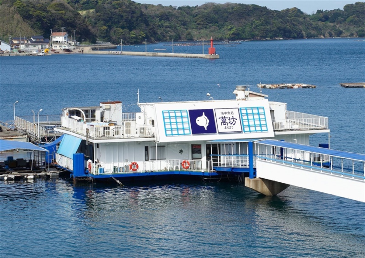 呼子萬坊の海中席予約と待ち時間攻略！元祖いかしゅうまい誕生秘話