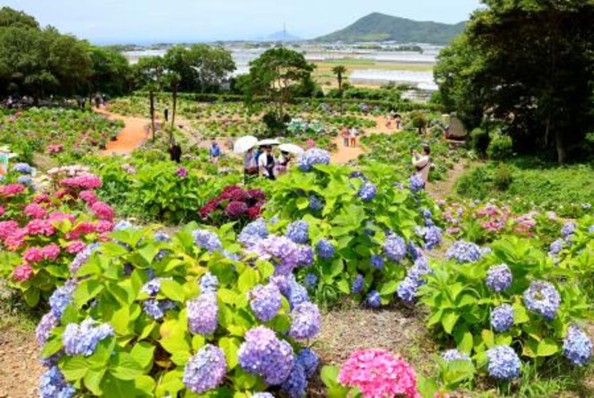 【2026最新】田原市渥美運動公園の料金・予約法と現地実態を徹底調査