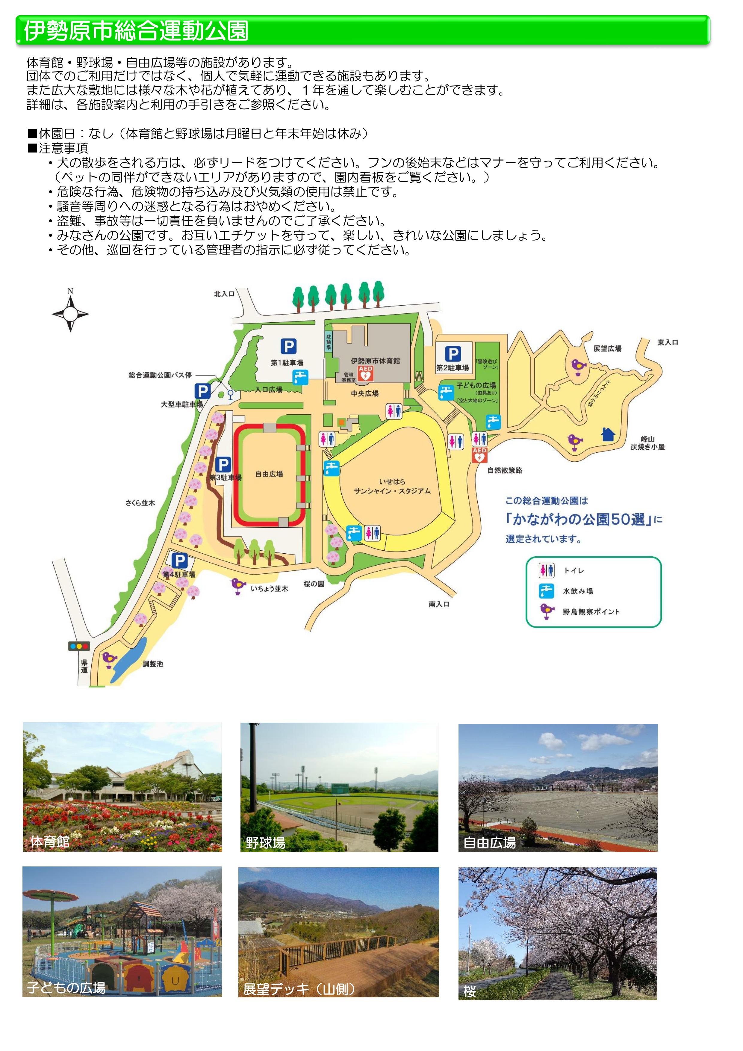 伊勢原総合運動公園の遊具と展望広場！駐車場混雑と料金の真相