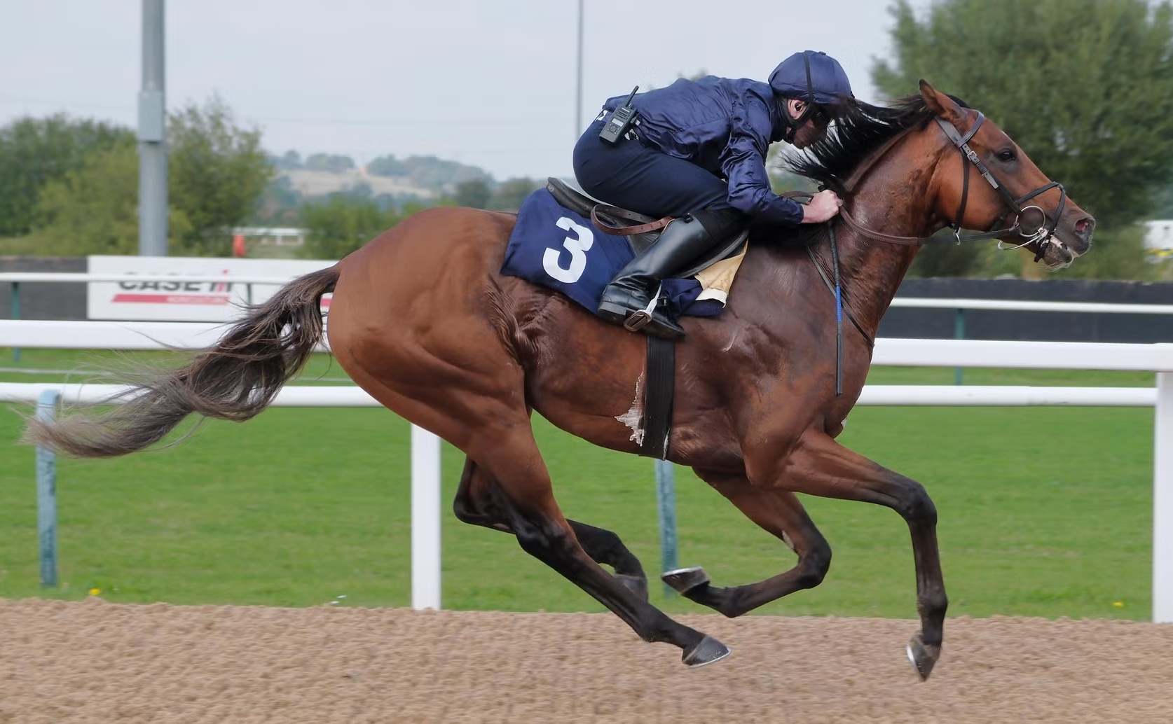 なぜ人は競馬に熱狂するのか？血統ドラマと2026年最新の魅力を解剖