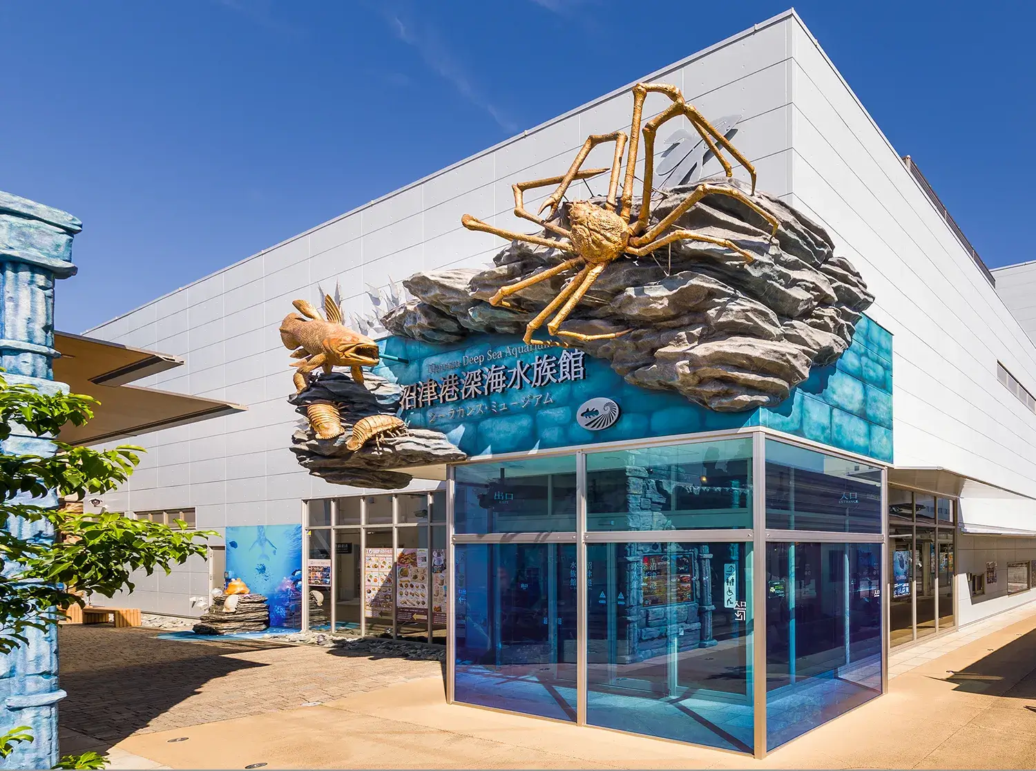 静岡県の水族館おすすめ比較ランキング【2026最新】深海からイルカ体験まで徹底網羅