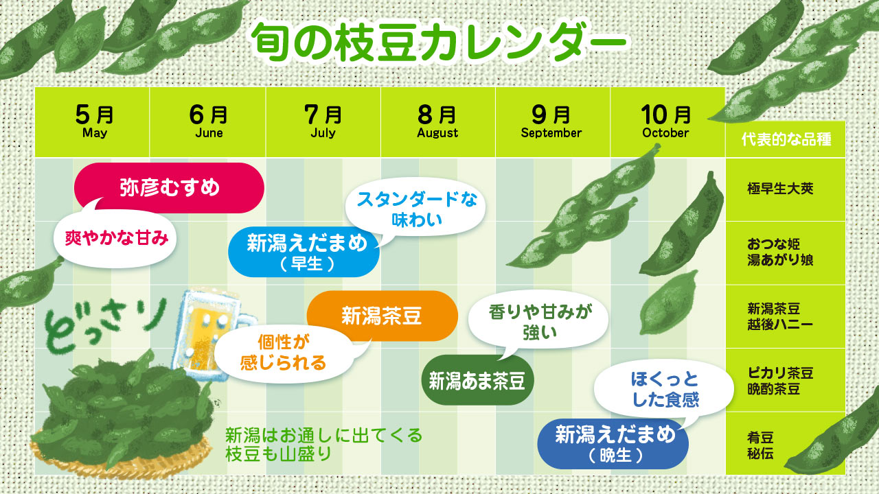 枝豆の収穫時期と食べ頃サイン｜一番甘い数日を逃さない見極め方