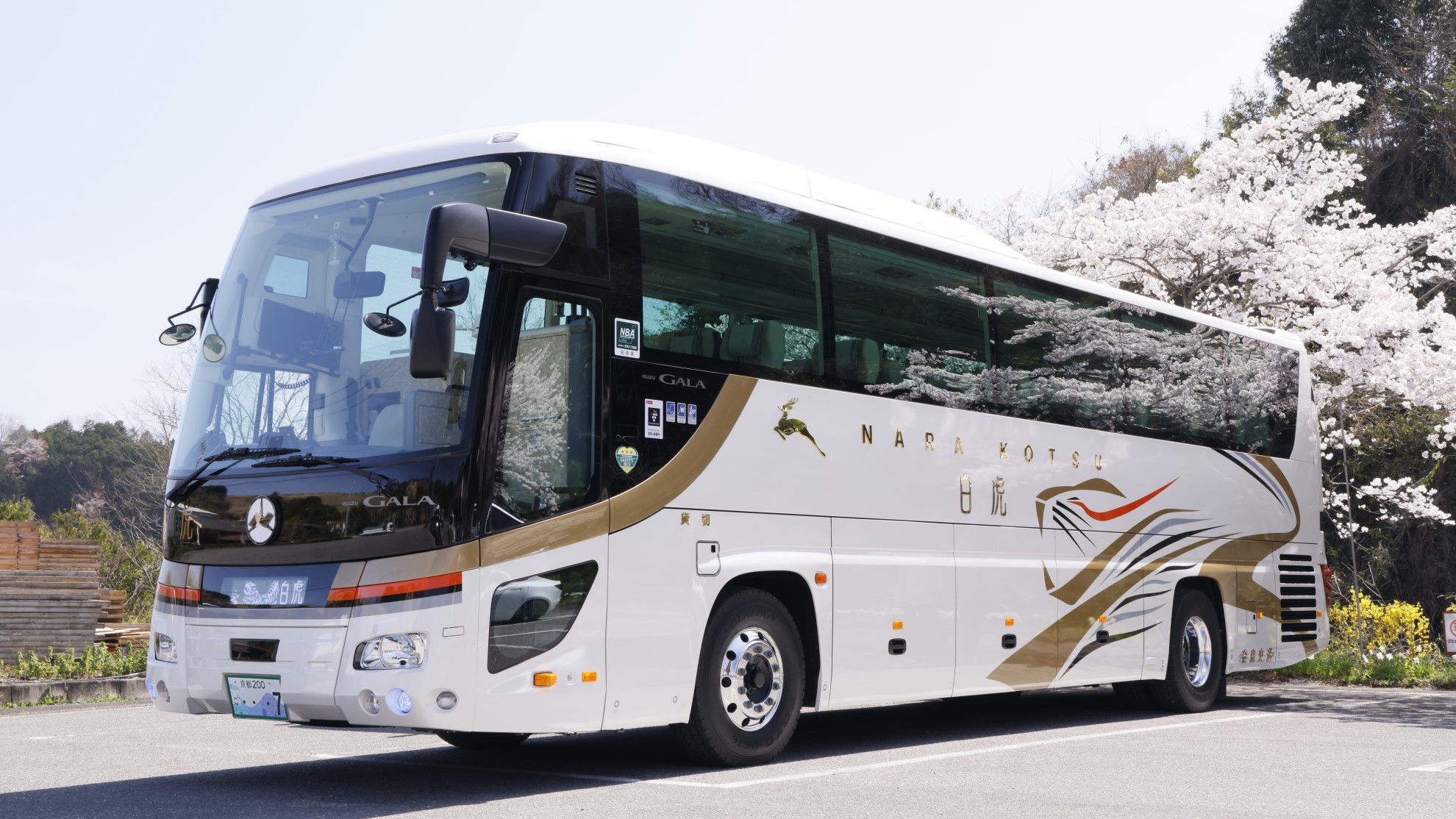 【2026最新】奈良交通バス攻略法｜お得な乗車券と日本一路線の実態