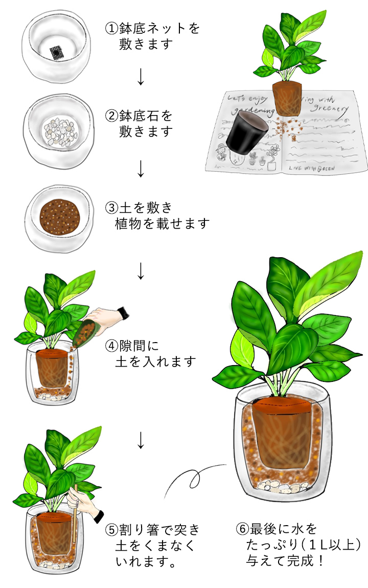 プランター植え替えで枯れる原因を解明！プロ直伝の失敗回避術と土再生