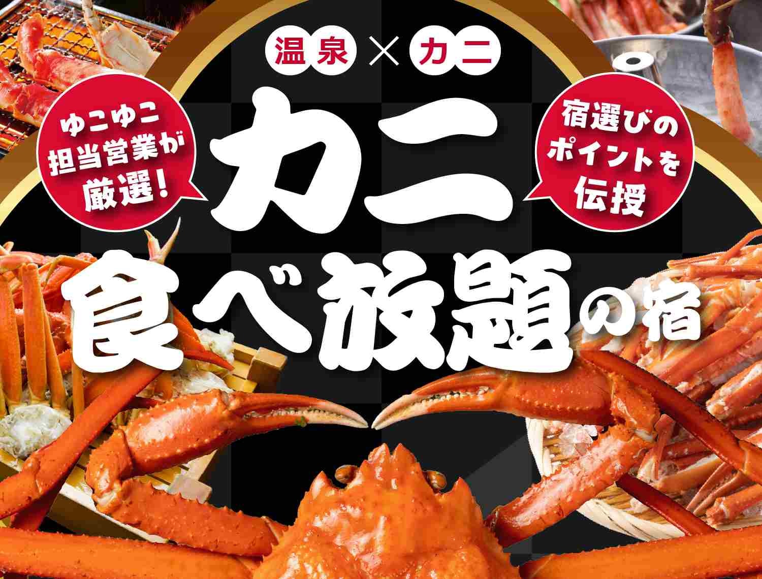 カニ食べ放題ホテルの真実！元は取れる？2026年最新の損得と名宿