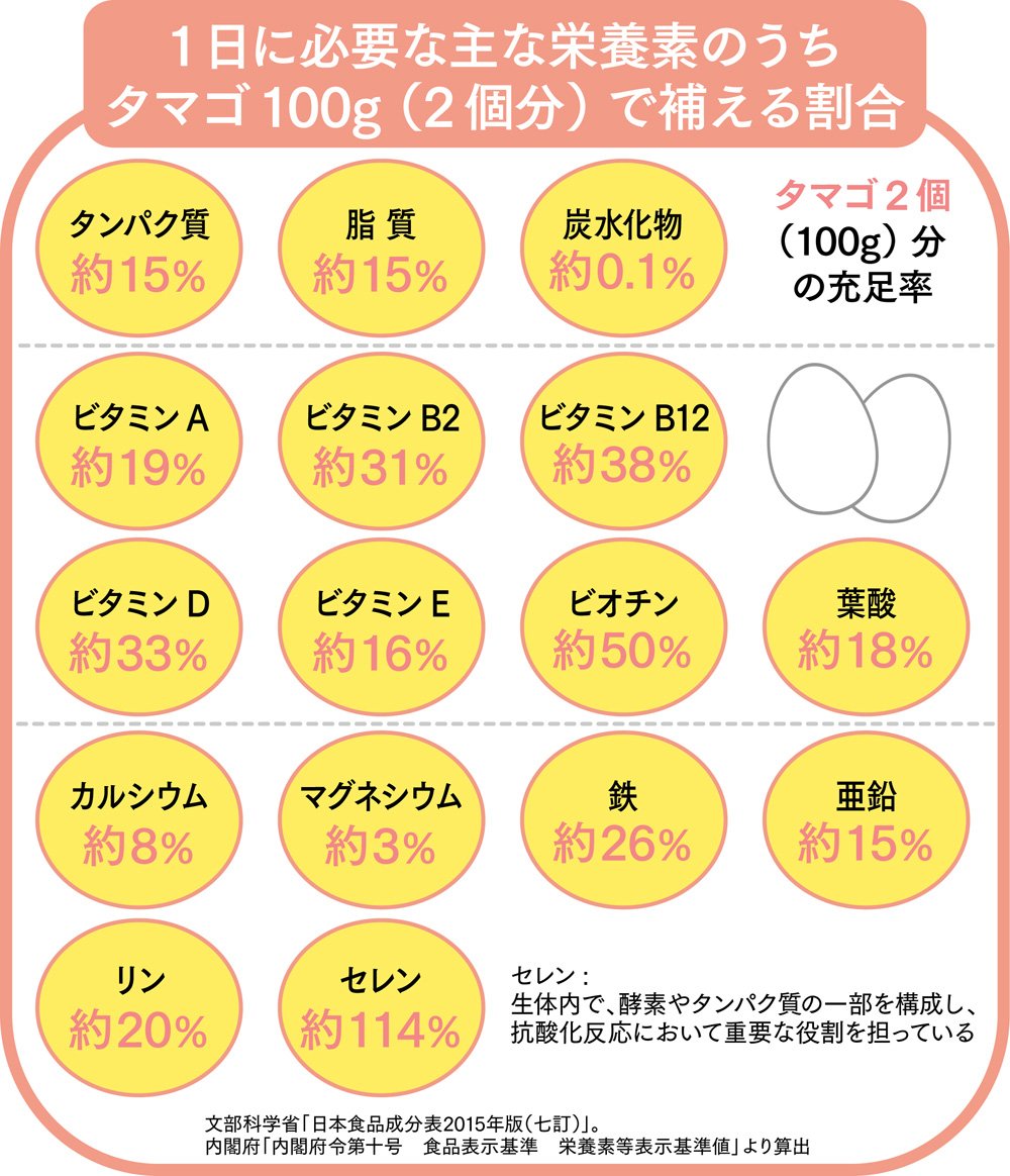 ゆで卵は一日何個まで？「1日1個」の嘘と最新科学が明かす適正量