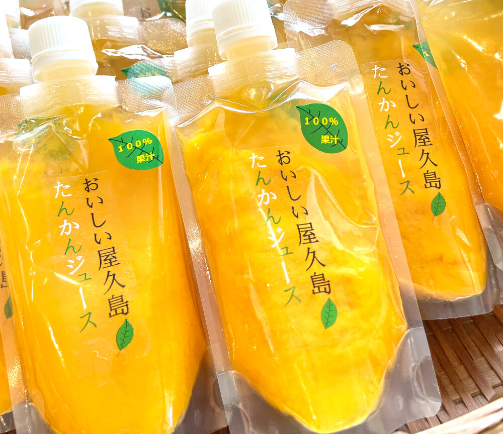 屋久島お土産完全ガイド2026！地元絶賛の銘品と限定品を徹底検証