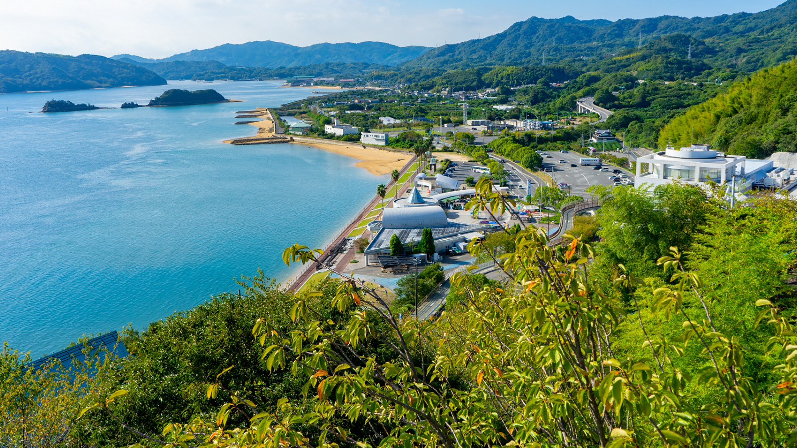 道の駅多々羅しまなみ公園の全貌｜幻のマハタと聖地絶景の真実【2026】