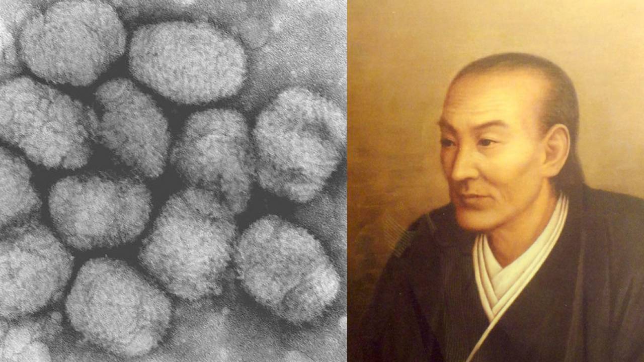 天然痘を生き抜いた有名人一覧！伊達政宗や漱石の痕跡と世界の歴史