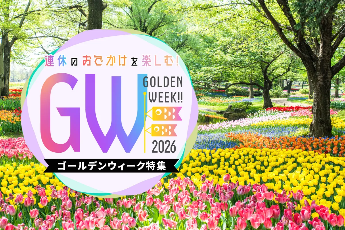 四ツ谷が2026年に激変した理由！再開発と住みやすさの全真相