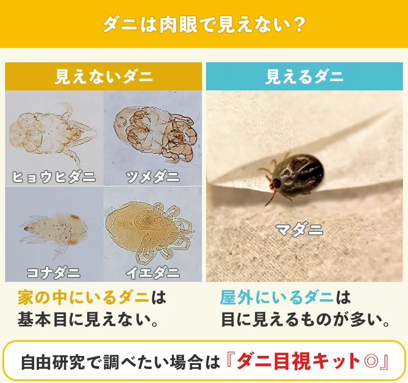 ダニとノミの刺され跡の違いは？見分け方・かゆみの症状と駆除対策