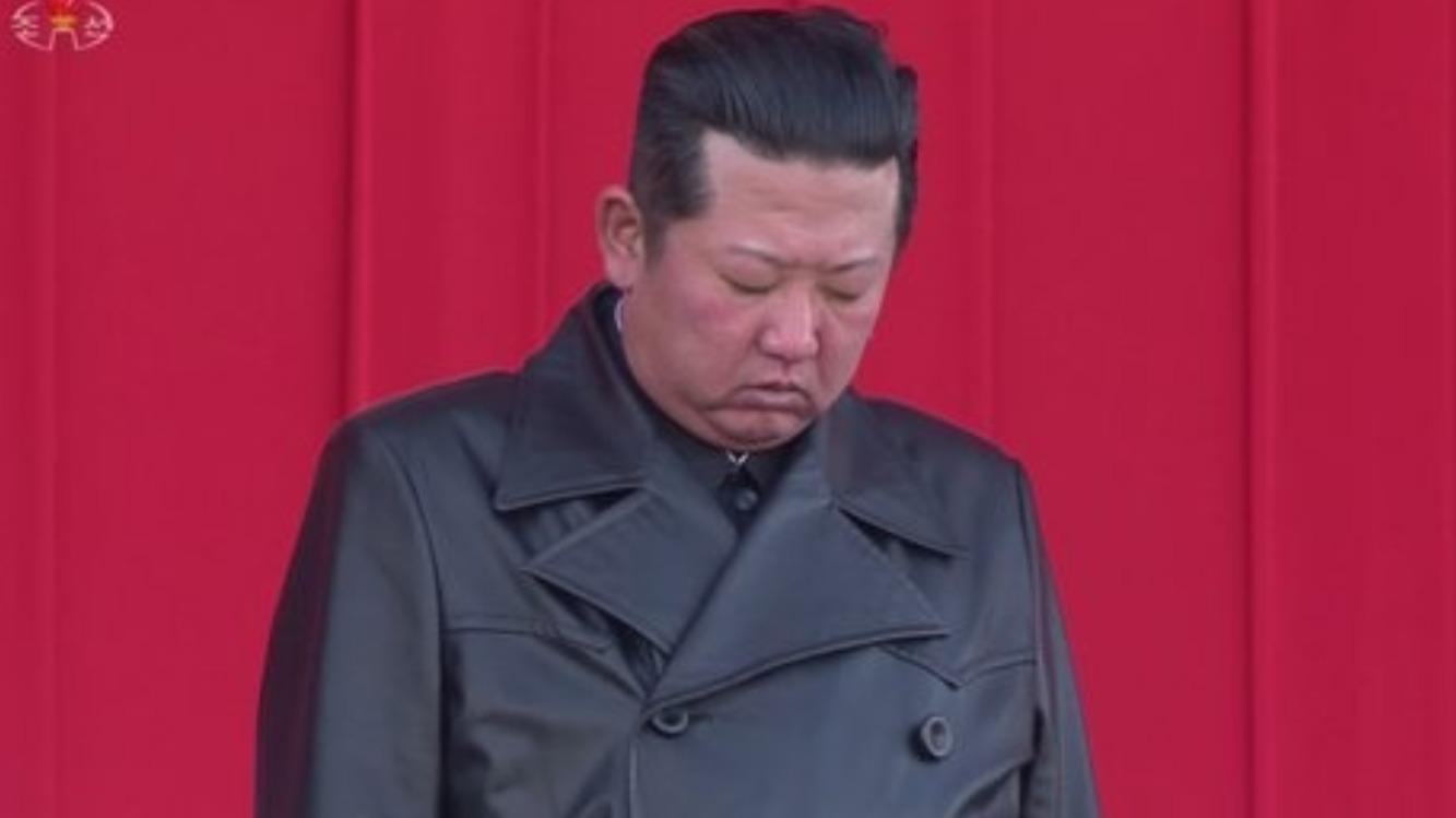 なぜ「将軍様」と呼ぶのか？歴史の真相と現代に広がる意外な実態
