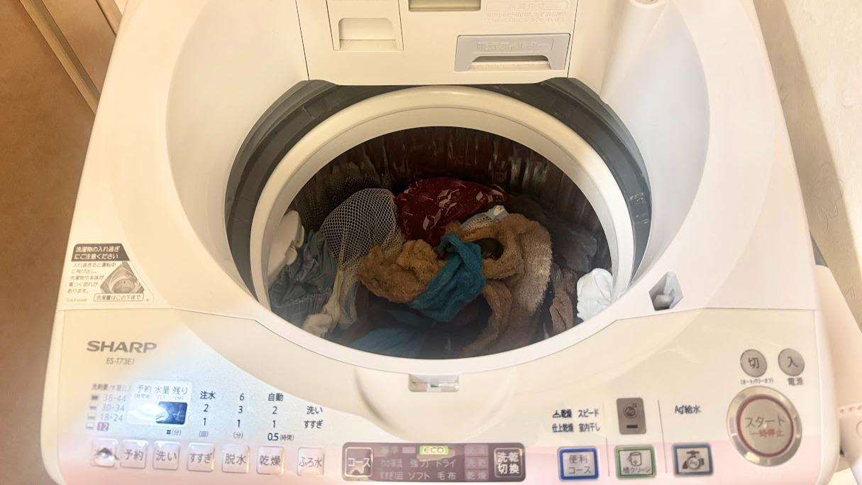 洗濯機の入れっぱなしは何時間でアウト？菌繁殖の限界と洗い直し基準を徹底解説