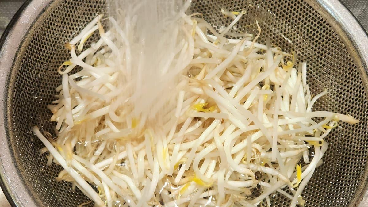 もやしは洗うべきか？栄養流出と臭いを防ぐメーカーの正解を徹底解説