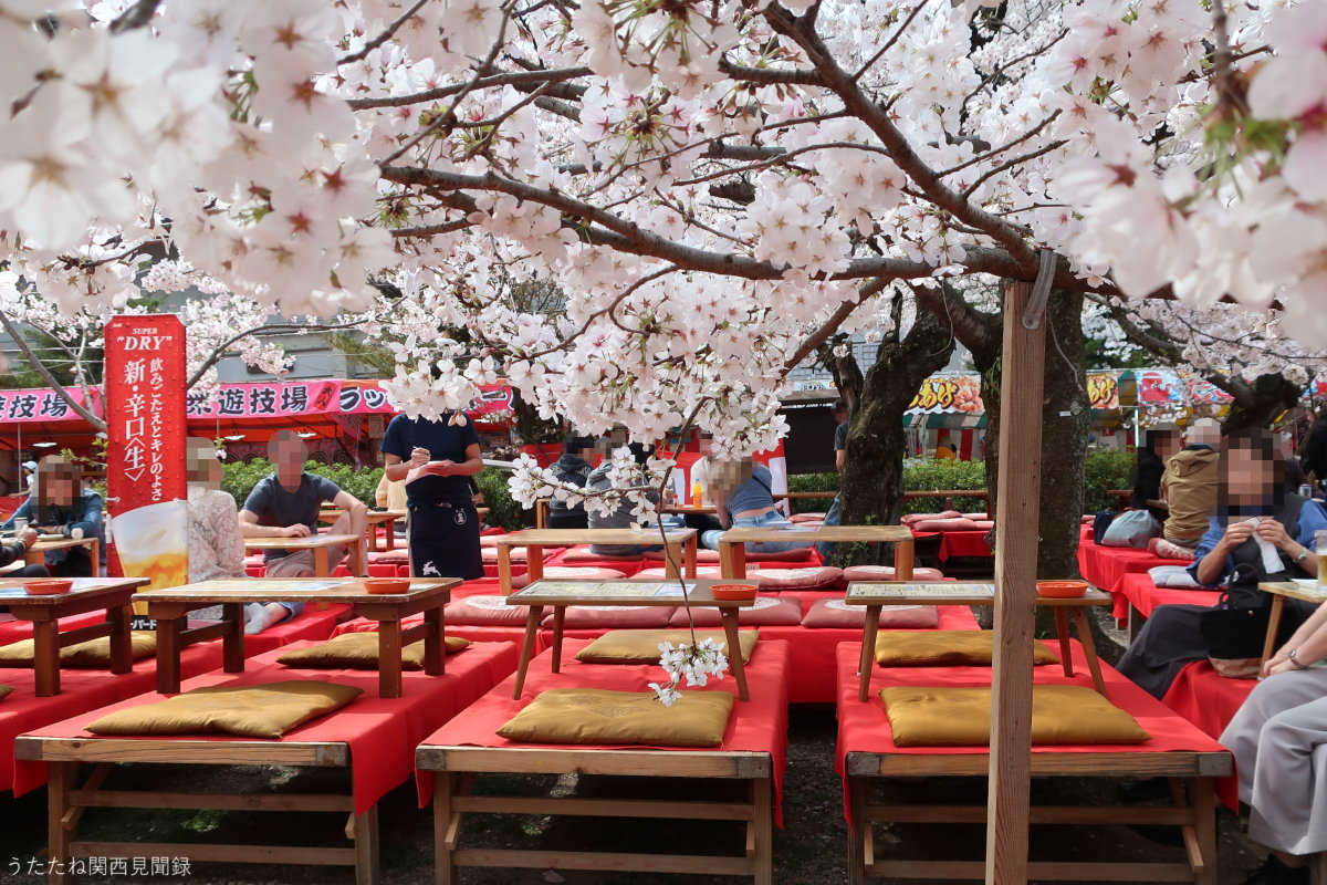 【2026最新】円山公園の桜屋台完全ガイド！出店期間や混雑回避術を網羅