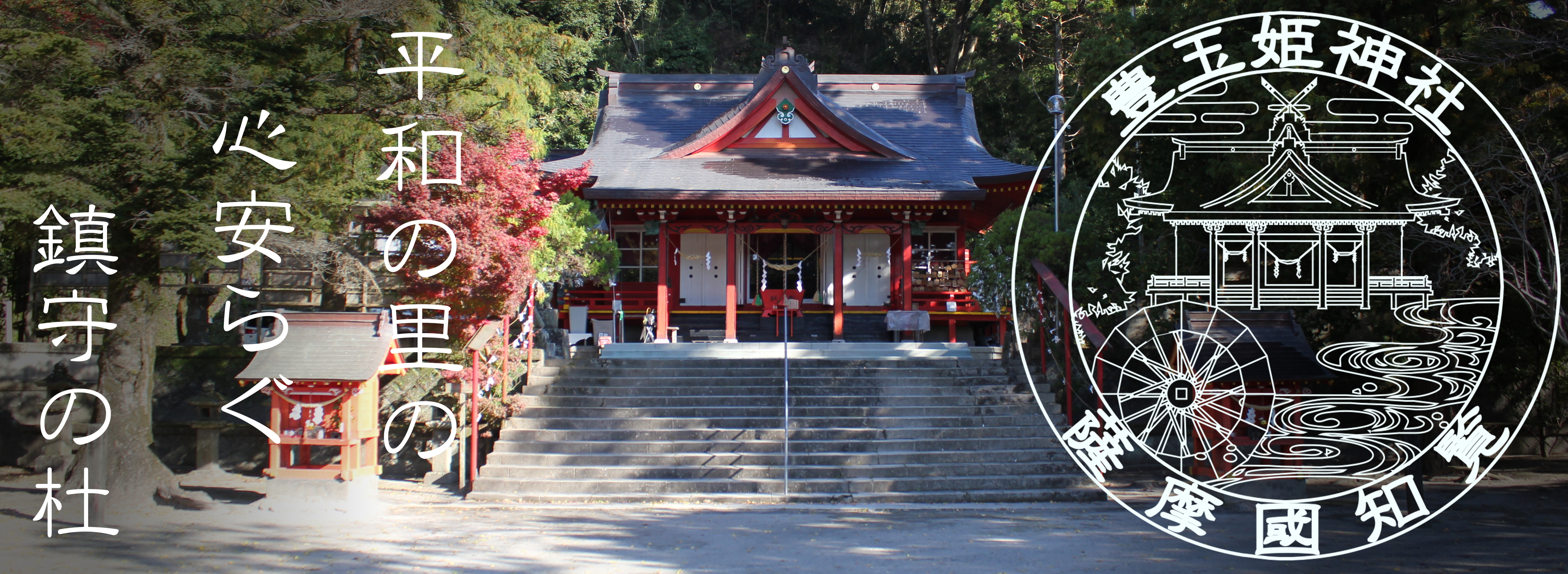 豊玉姫神社の美肌ご利益と白なまず伝説の真相！参拝作法と見どころ解説