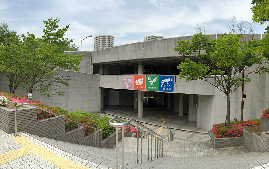 福江空港（五島つばき空港）最新ガイド！便数・レンタカー・欠航対策