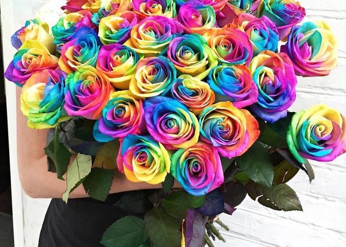 虹色のバラに隠された真実と花言葉！なぜ染まる？値段や作り方を徹底解明