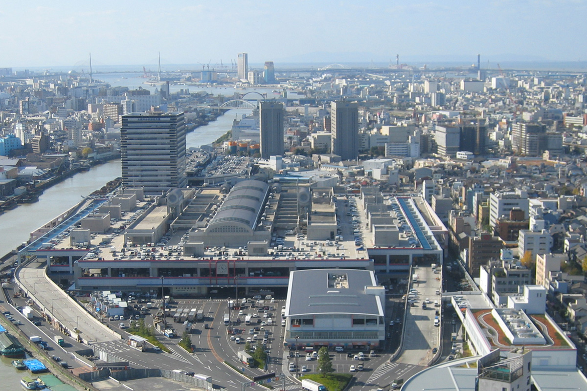 大阪中央卸売市場の歩き方2026！一般買い出しと絶品グルメ徹底ガイド