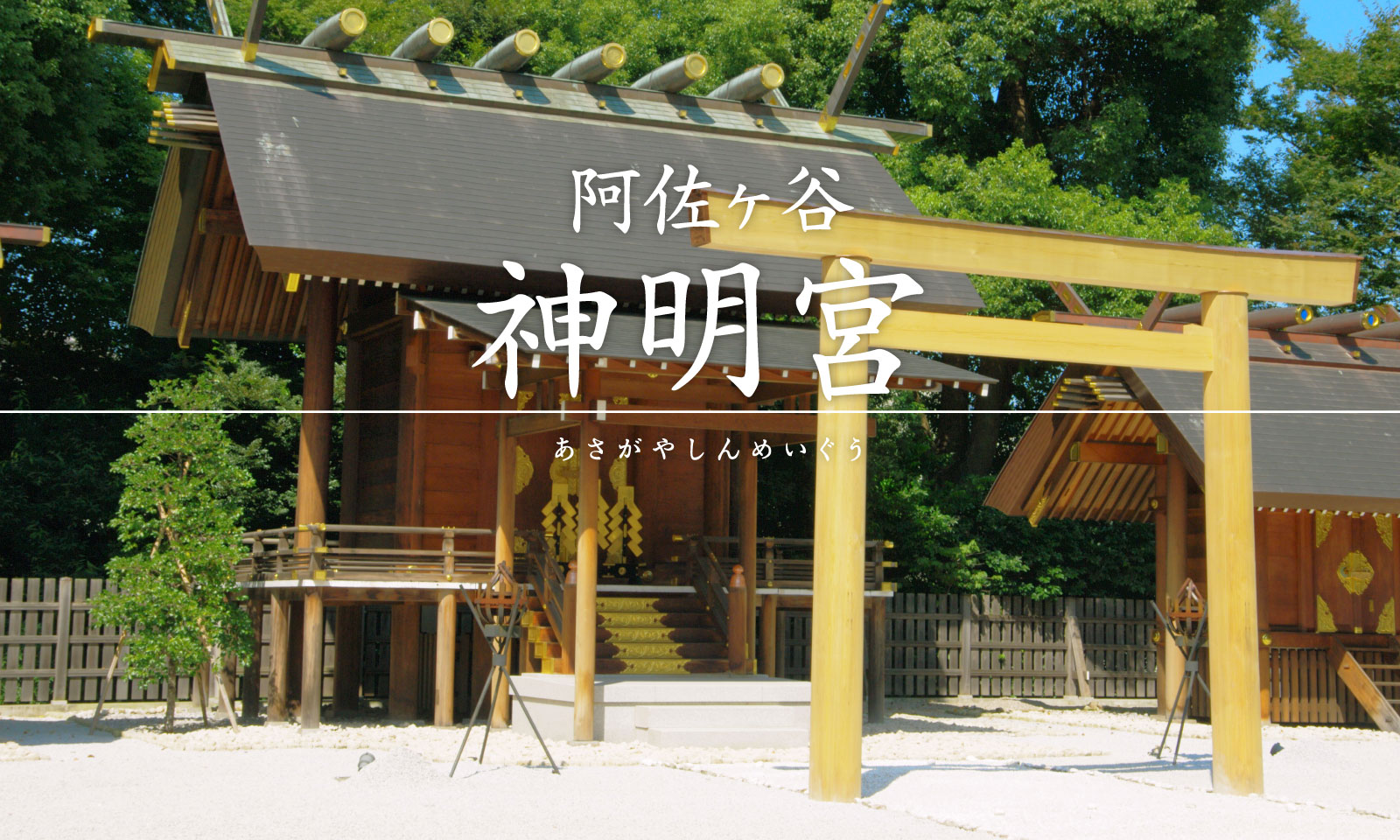 阿佐谷神明宮の八難除けと神むすび！2026年最新授与品と混雑攻略