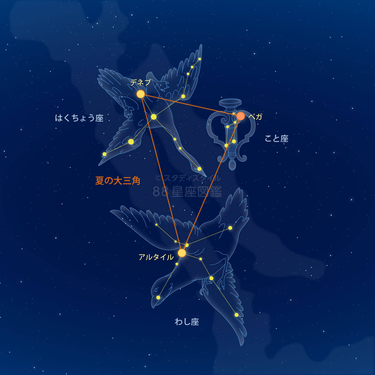 夏の大三角形の見つけ方完全ガイド！2026年最新の観測法と七夕伝説の真相