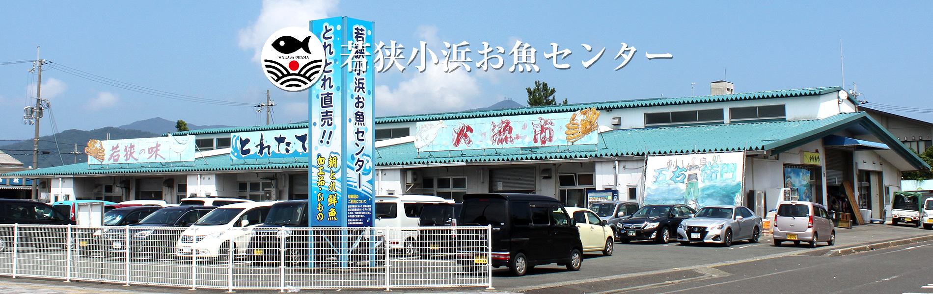 若狭小浜お魚センターの真価｜朝獲れ海鮮丼と焼き鯖に地元民が通う理由