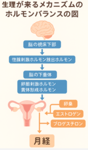 【速報】 生理 が 早く 来る 方法 最新出演情報まとめ #884