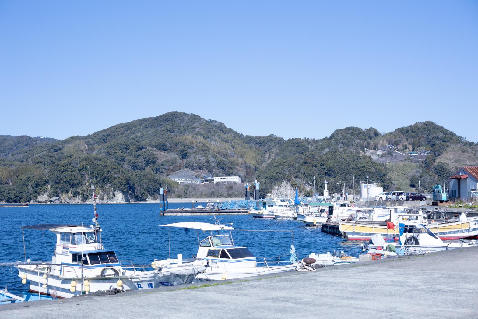 長崎市茂木町が再注目される理由！レトロ港町の絶景カフェと移住の真相