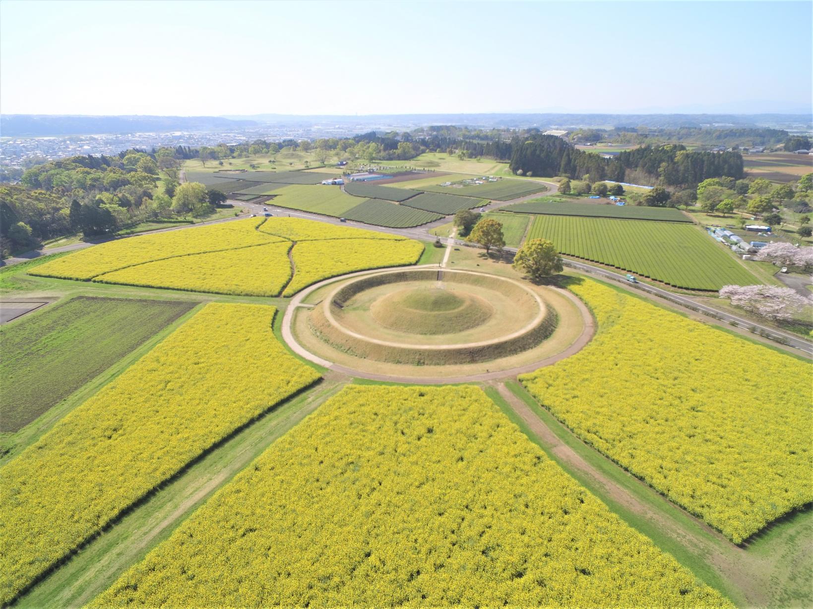 西都原古墳群の謎と四季の絶景！2026年最新の歴史＆見どころ完全版