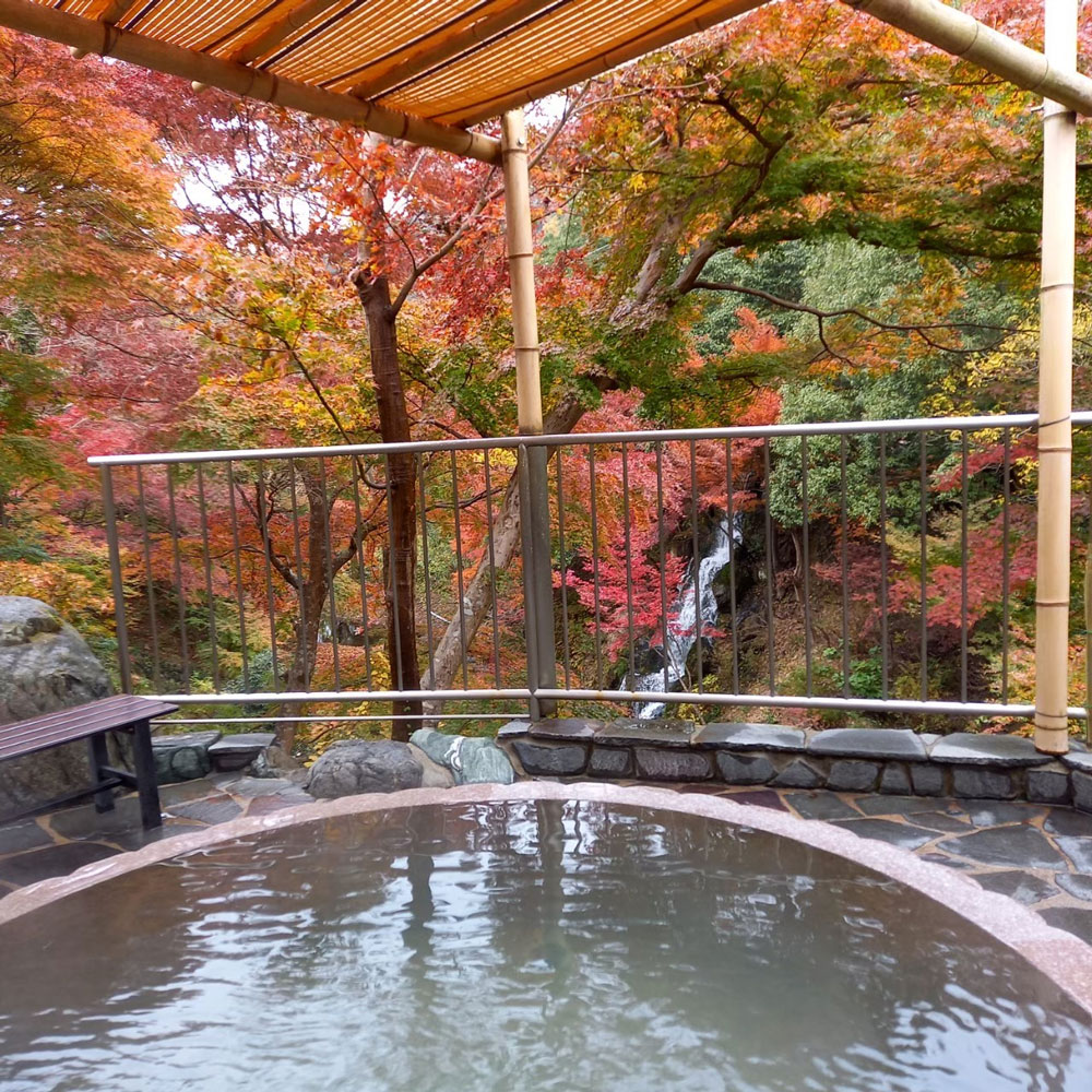 秩父・満願の湯が愛される秘密！絶景滝露天と美肌温泉の全貌