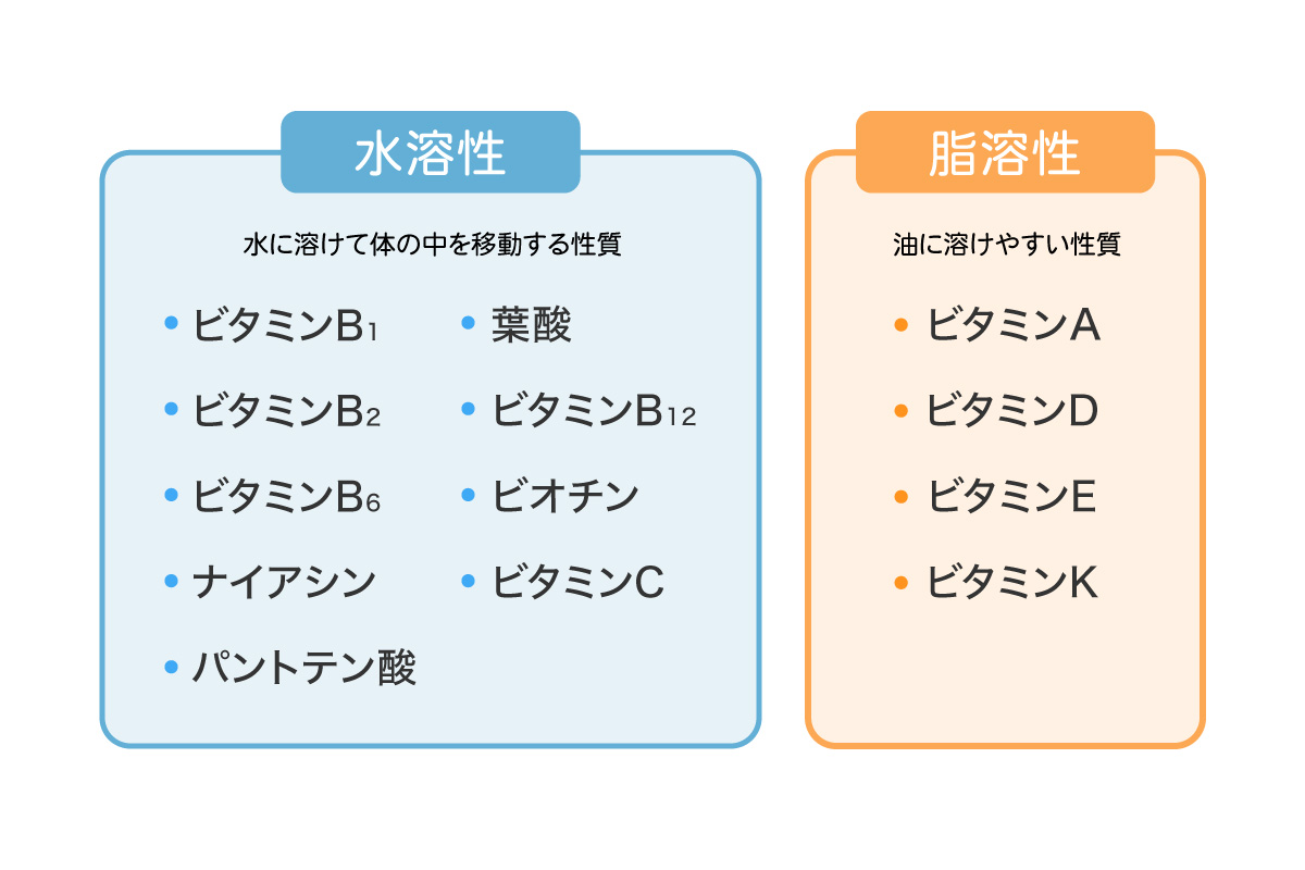 水溶性ビタミン全9種の真実｜過剰摂取の盲点と効かせる摂取タイミング
