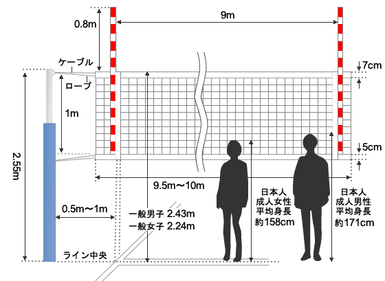 バレーボールのネットの高さ完全網羅【年代別公式規格と正しい測り方】