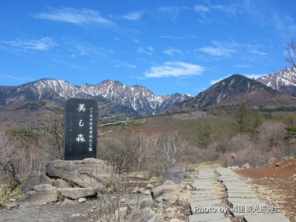 美し森展望台の現在と階段の真相！絶景と名物ソフトクリーム徹底取材
