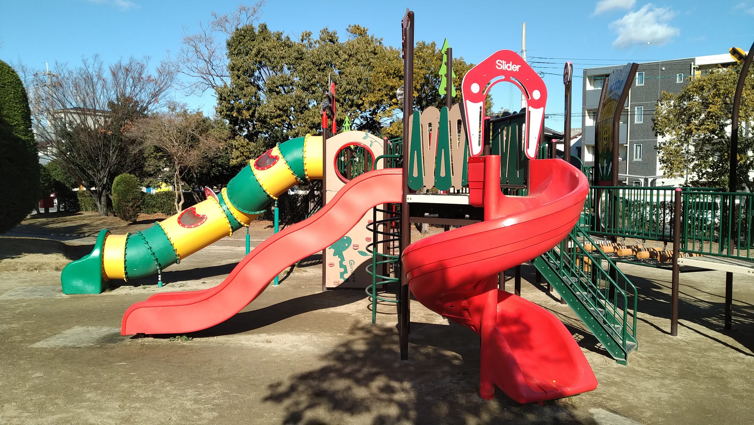 若園公園バラ園2026最新開花情報！無料の真相と混雑回避の極意