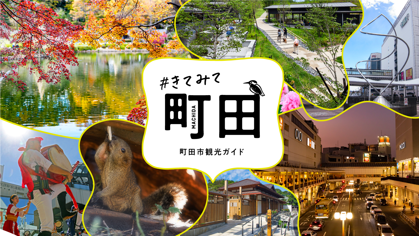 町田市立小山ヶ丘小学校の評判は？多摩境のマンモス校の実態と2026年最新動向