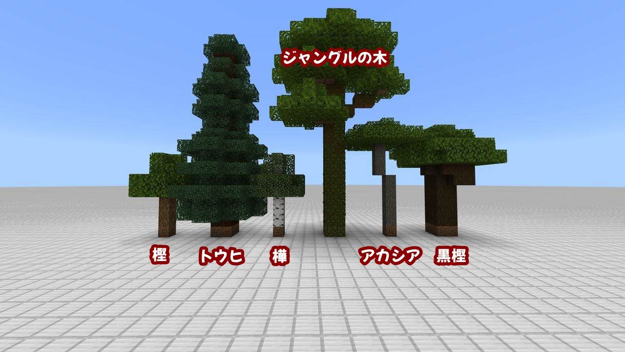 【2026最新】マイクラ木の種類一覧！新木材の特徴や巨木育成を解説