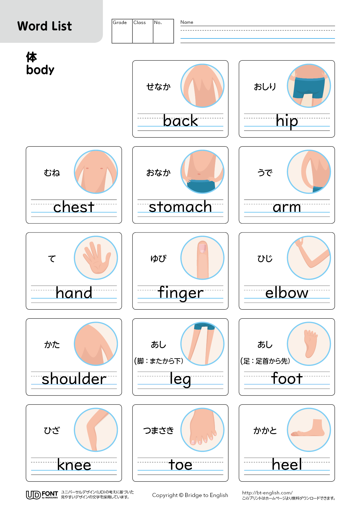 「英語で膝」はKneeだけじゃない？Lapとの違いと実践表現まとめ