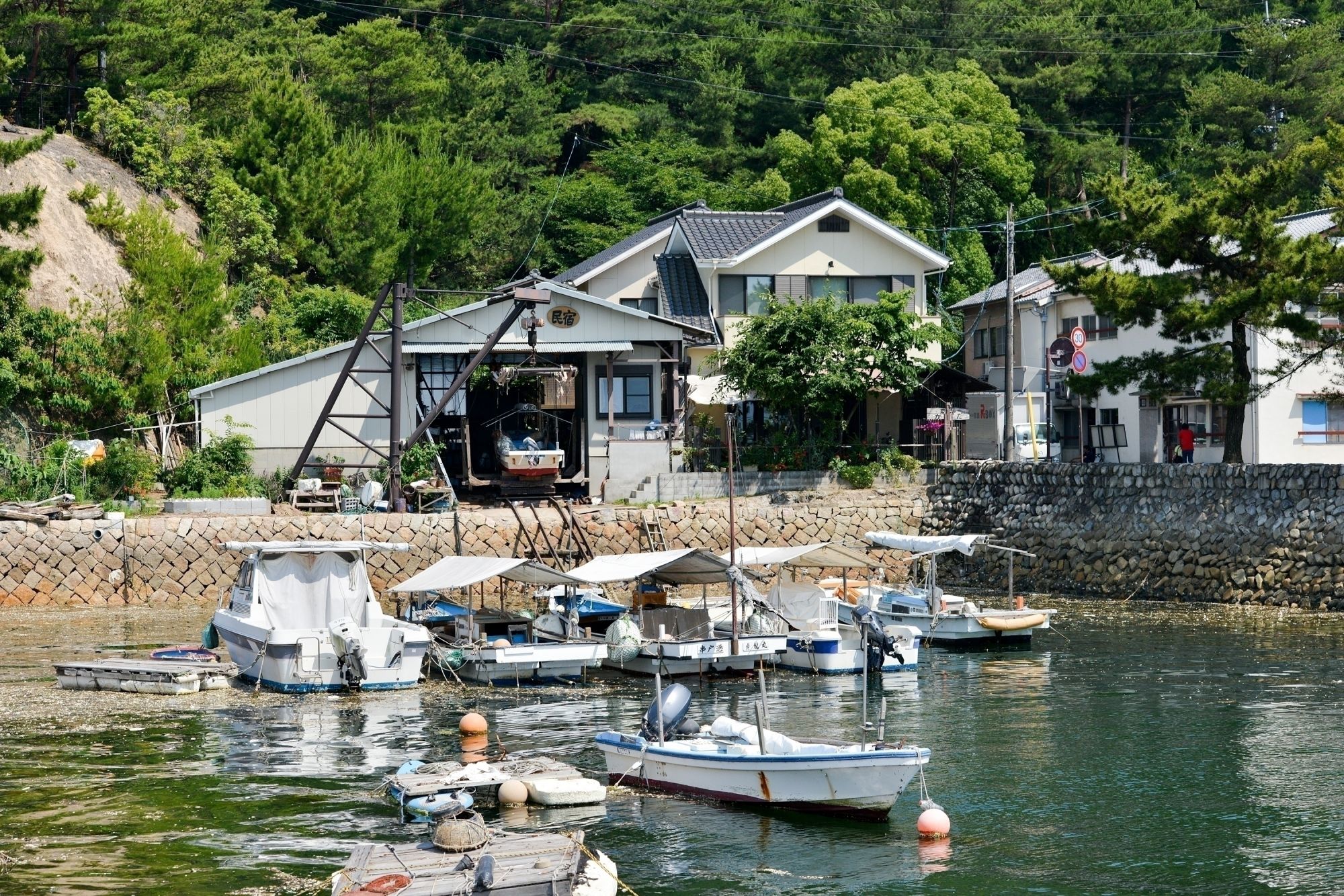 神津島「民宿かまだ」評判と予約争奪戦の真相！料理と宿泊実態を徹底解剖