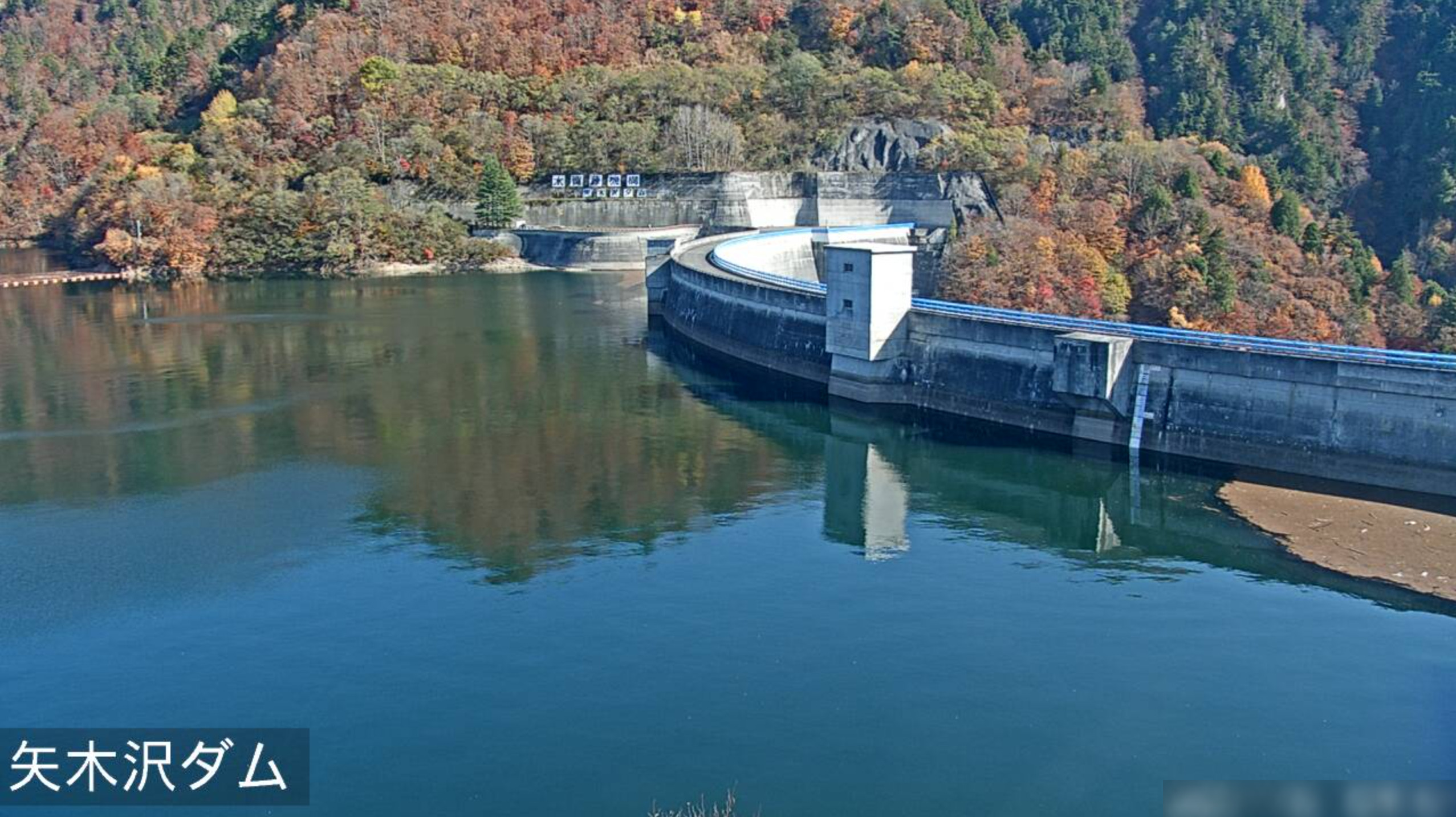 矢木沢ダム貯水率が激減？首都圏水不足の真相と取水制限リスクを検証